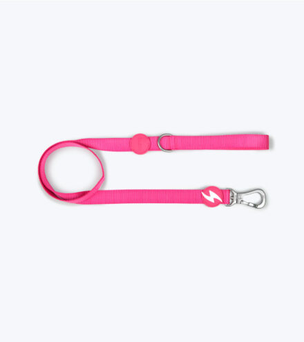 Dashi Trela Rosa