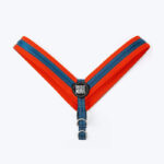 Max & Molly Q-Fit Harness