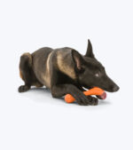 West Paw Hurley - Image 7
