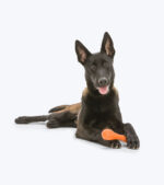 West Paw Hurley - Image 8