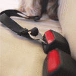 Cinto de Segurança para Cães Dashi - Image 4