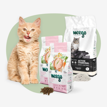 Pack “Gatinho"