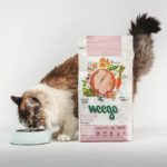 Ração para Gatinho | Sem Cereais | 20% Frango Fresco | Weego Chicken & Eggs | 1,5 Kg - Image 2